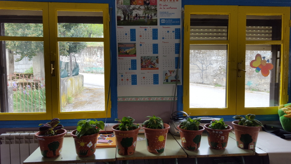 emprendedores 17-18b