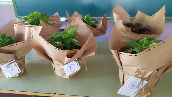 emprendedores 17-18c